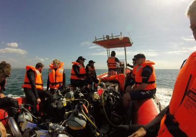 Umhlanga Scuba