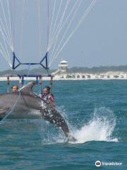 Ponce Inlet Watersports - Manatee & Dolphin Boat Tours