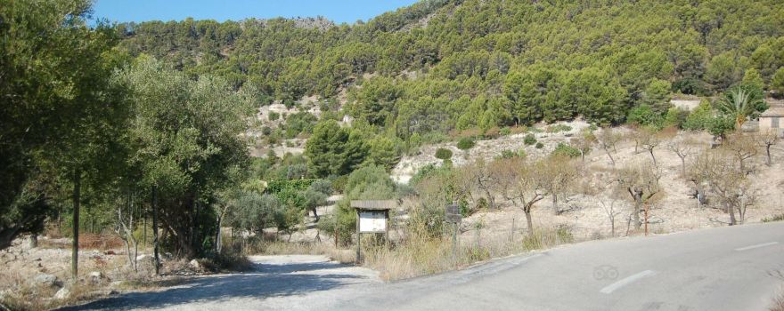 CR3 Es Capdella - Sa Vall Verda Trail