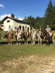 Centro Equestre Il Salice