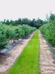 Rooney's Front Porch Farm