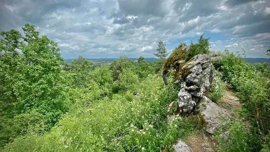 Gora Miedzianka Nature Reserve