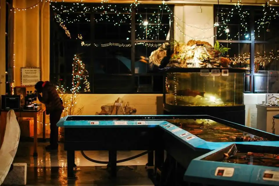 Hotels near Sitka Sound Science Center