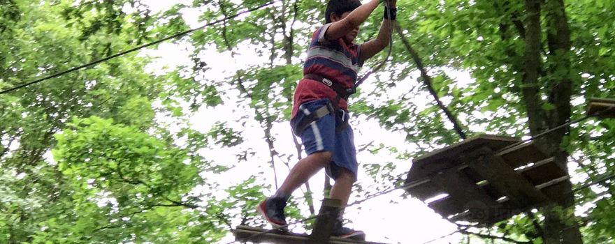 Go Ape Wyre