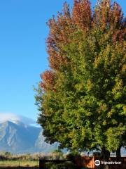 Carson Valley Museum & Cultural Center