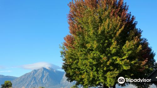 Carson Valley Museum