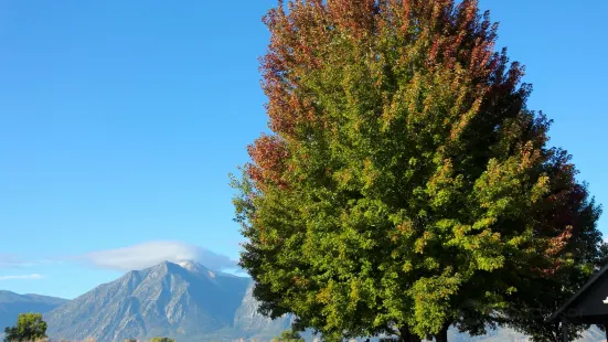 Carson Valley Museum & Cultural Center