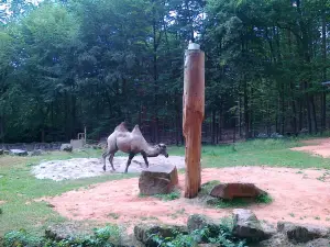 Zoo Kaiserslautern