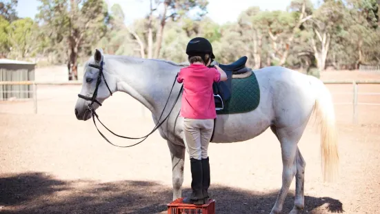 Forge Farm Riding School