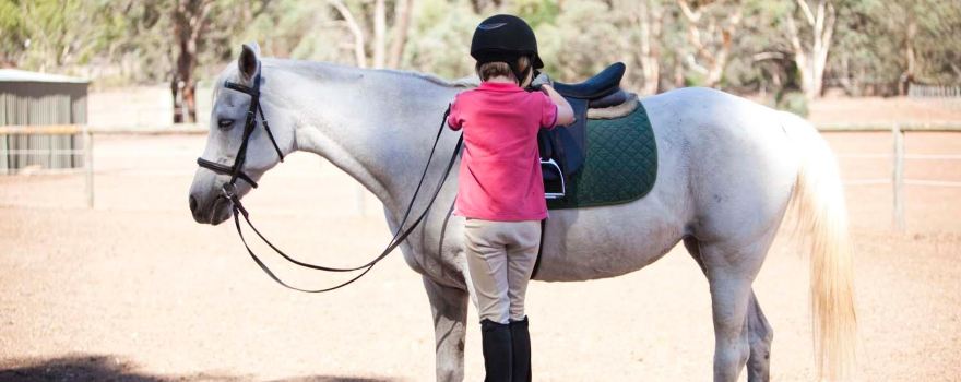 Forge Farm Riding School
