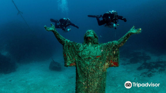 Divewise Malta