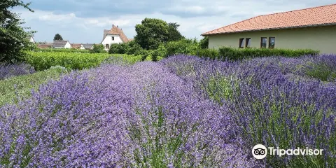 Krautergarten Klostermuhle