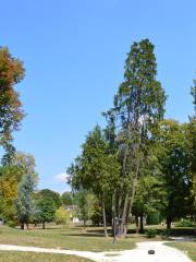 Parc des Thermes de Luxeuil