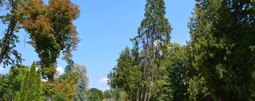 Parc des Thermes de Luxeuil