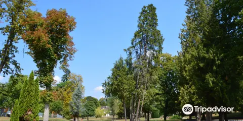 Parc des Thermes de Luxeuil