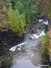 Elk Falls Suspension Bridge