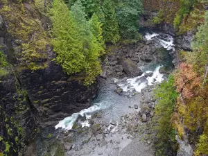 Elk Falls Suspension Bridge