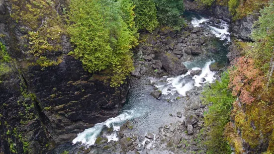 Elk Falls Suspension Bridge