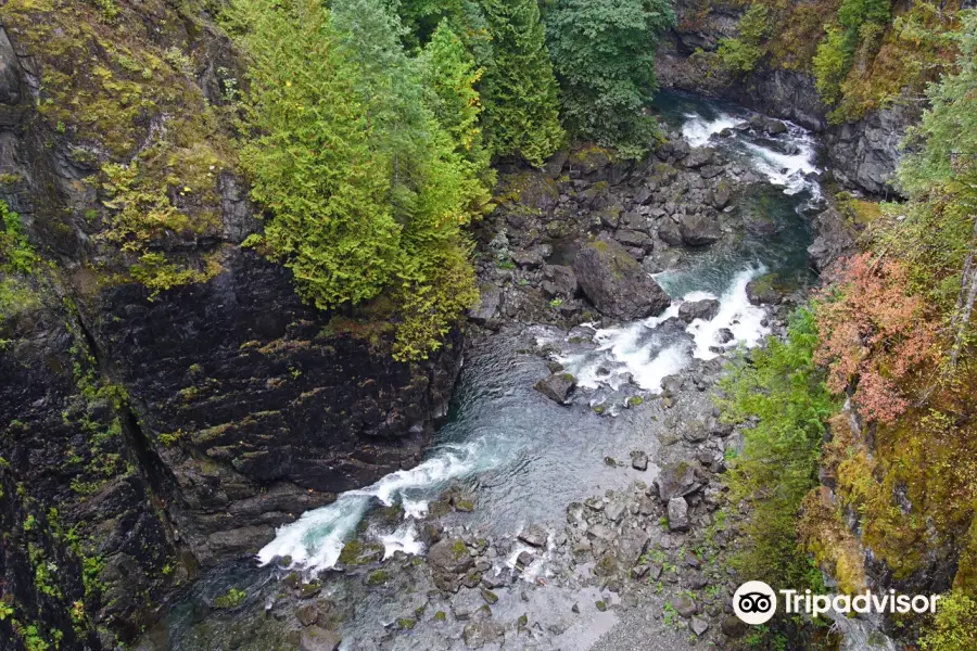 Elk Falls Suspension Bridge