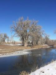 Poudre River Trail