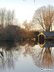 Bron Eifion Coarse Fishing