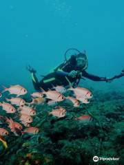 Bahia Scuba