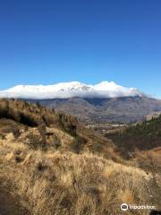 Sawpit Gully Track / Arrow River Trail / Motatapu Track