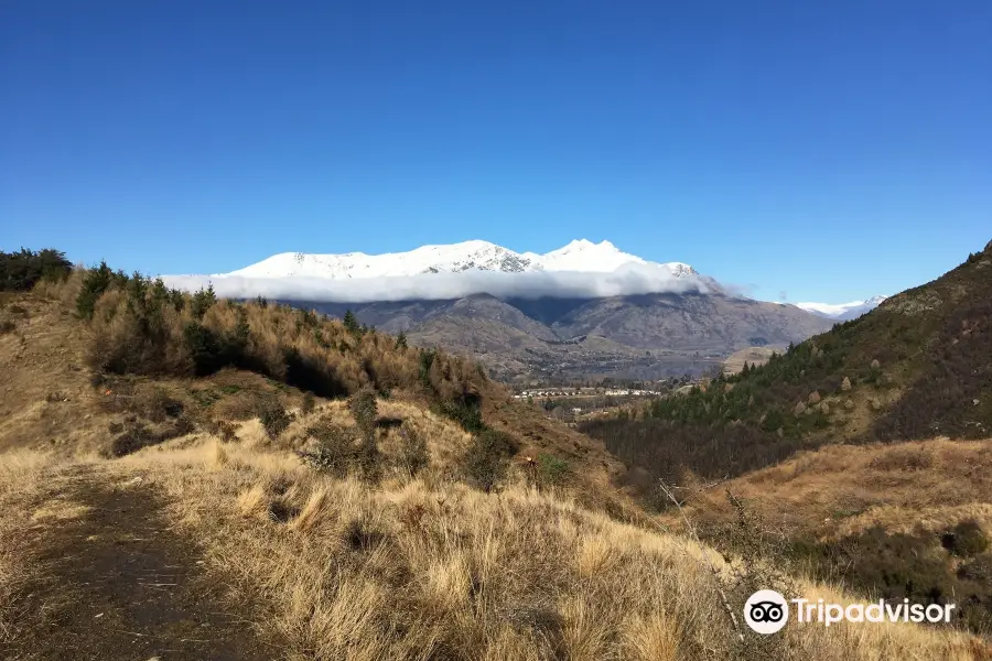 Sawpit Gully Track / Arrow River Trail / Motatapu Track