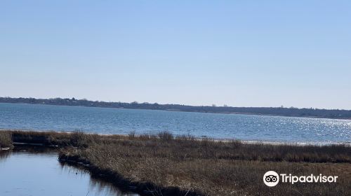 Lake Montauk