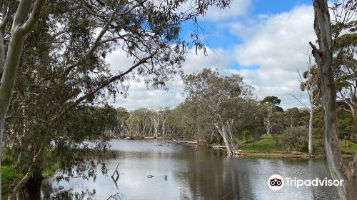 Duck Lagoon