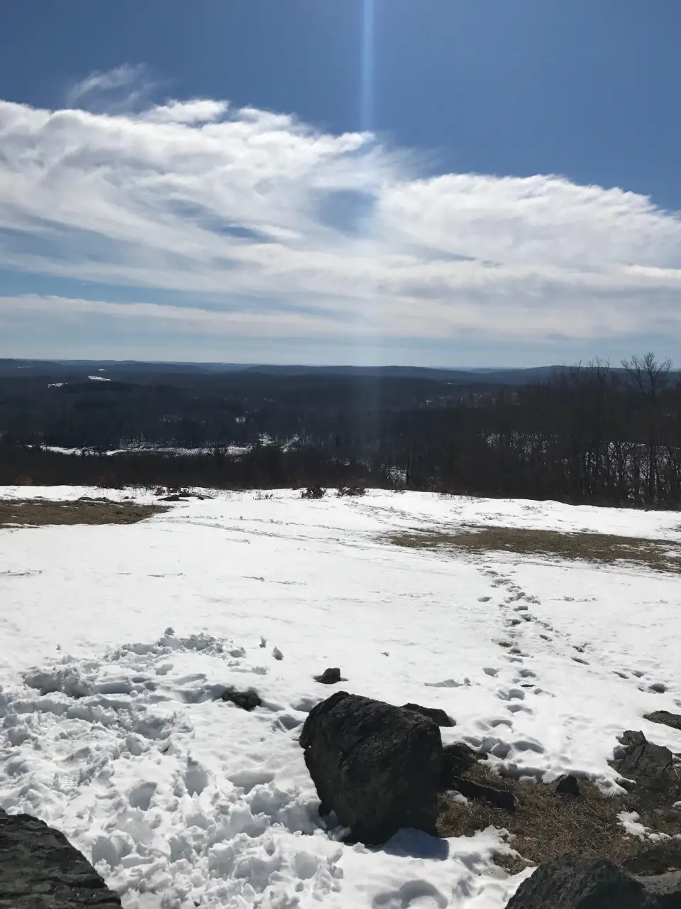 4_Mohawk State Forest