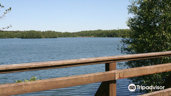 Heidesee in Kirchheller Heide