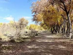 Willow Creek Trailhead and Open Space