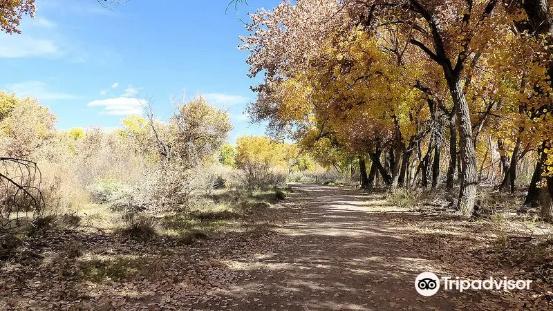 Willow Creek Trailhead and Open Space