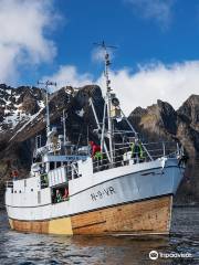 Aqua Lofoten Coast Adventure