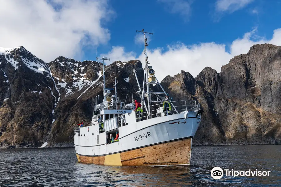 Aqua Lofoten Coast Adventure