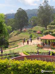 Government Rose Garden