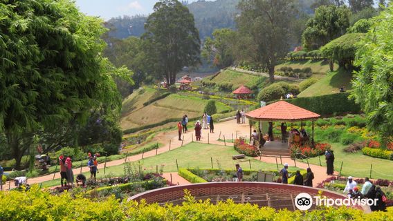 Government Rose Garden