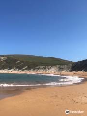 Playa de Tagle