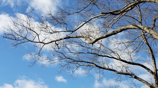 マーサー郡立公園