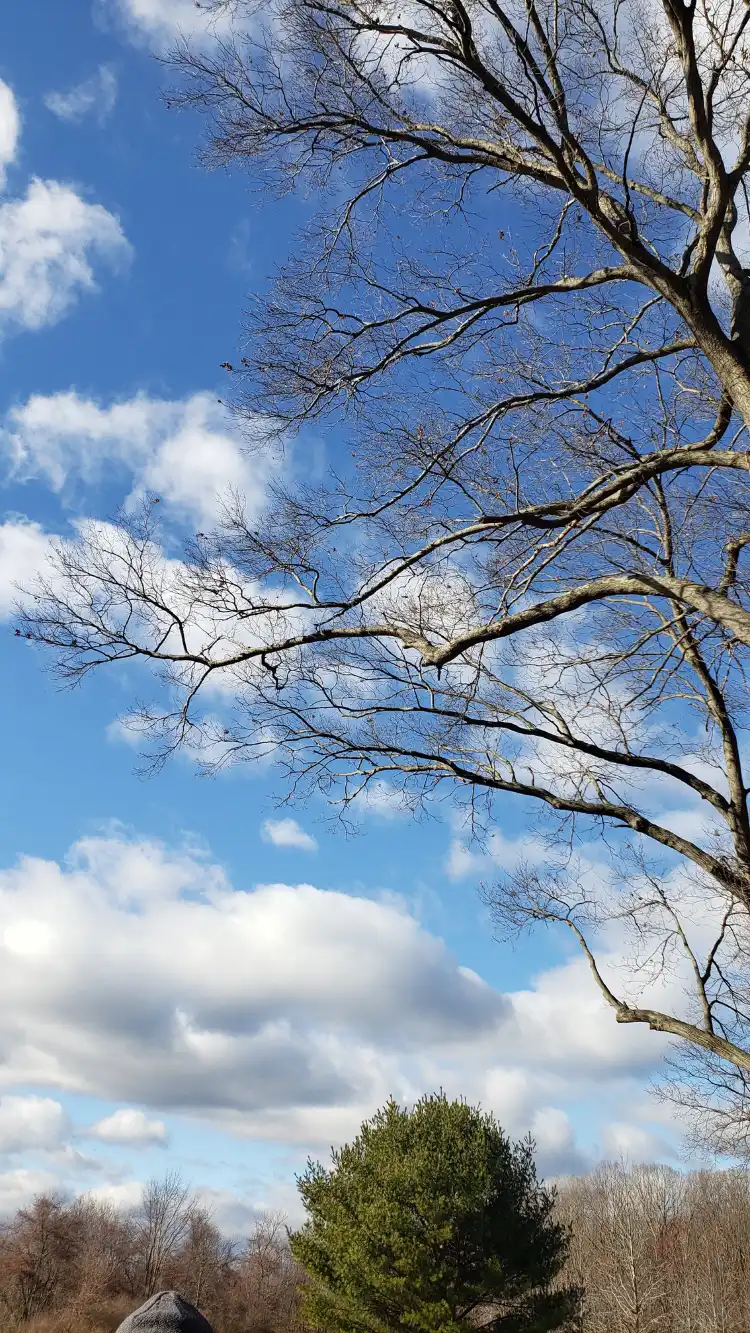 Closest Hotels Near Princeton Junction Train Station Princeton