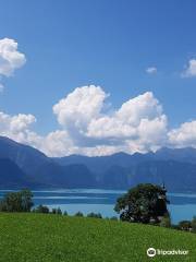 Attersee Klettersteig