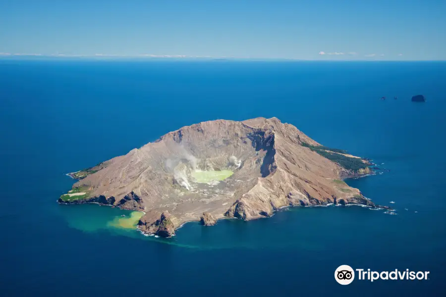 White Island Flights