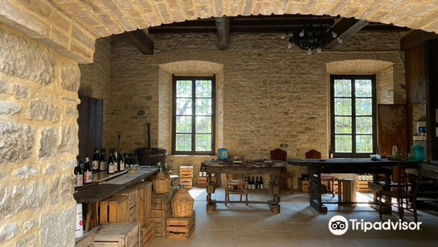 Castle of Contignaco