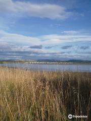 Ahuriri Estuary Walking Track