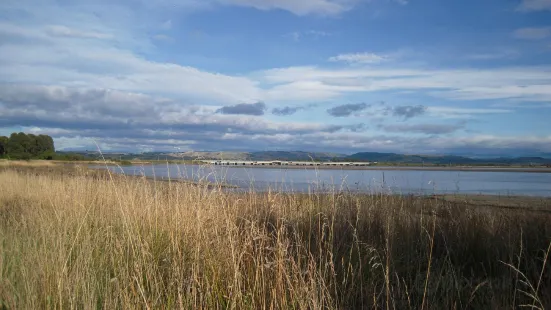 Ahuriri Estuary Walking Track