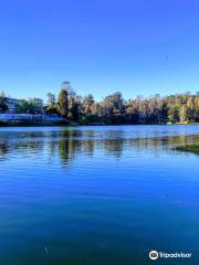 Sausalito Lagoon