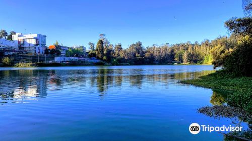 Sausalito Lagoon