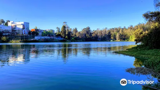 Sausalito Lagoon