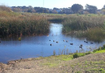 Locke-Paddon Wetlands Park